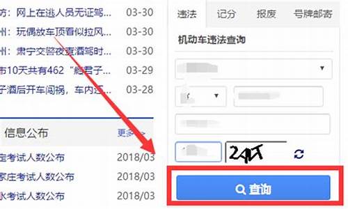 怎样查询交通违章情况_怎样查询交通违章