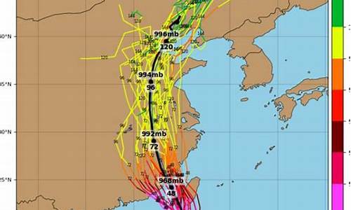 2023第6号台风最新消息新闻_2023第6号台风最新消息