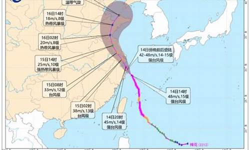 2022年最新台风胚胎_2021年台风胚胎90w