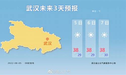 武汉天气预报30天准确查询_湖北武汉未来40天天气预报