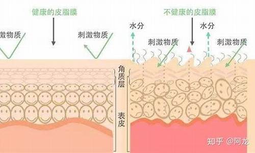 气候对皮肤的影响_气候对皮肤的影响特别大吗